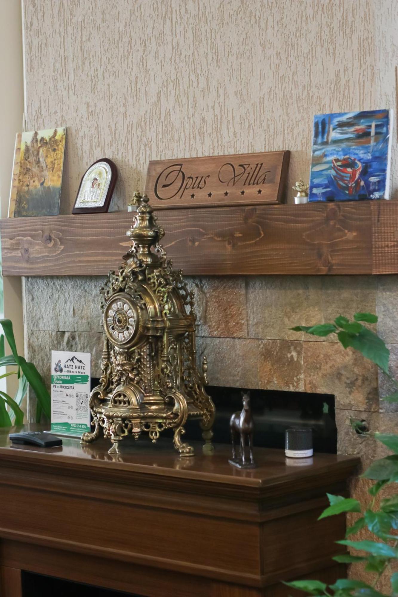 Opus Villa Синая Экстерьер фото Opus Villa