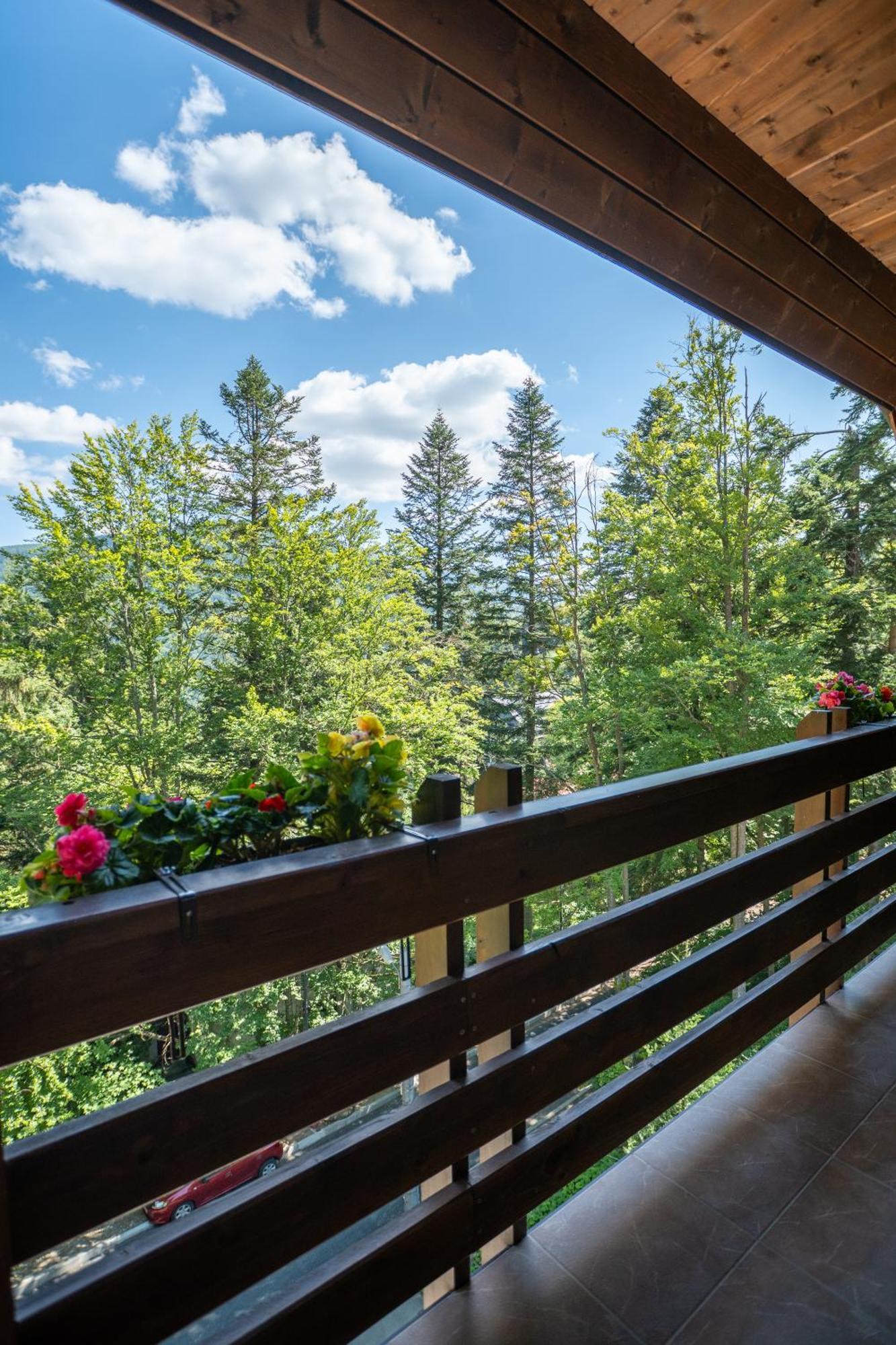 Opus Villa Синая Экстерьер фото A balcony in the Alps