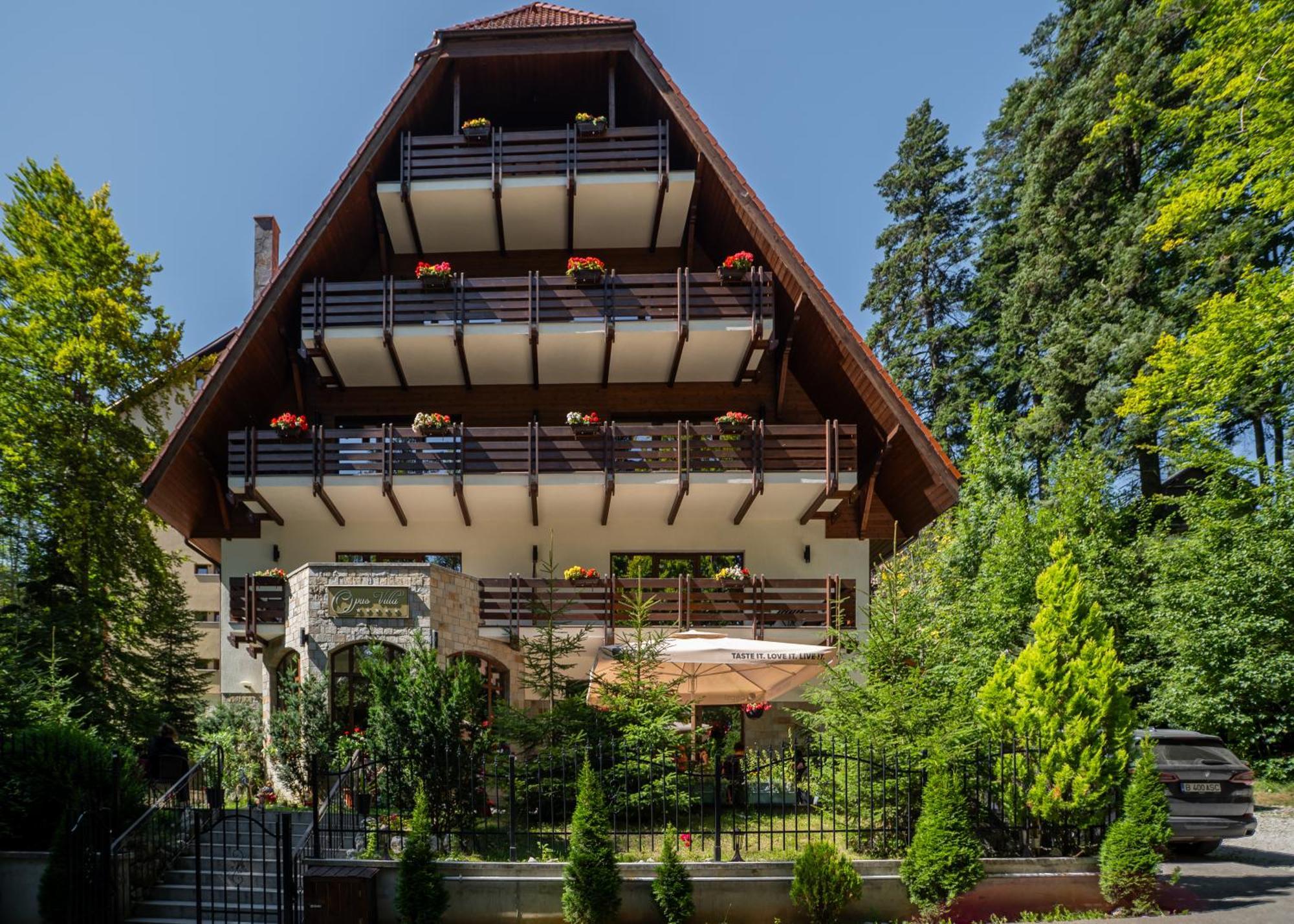 Opus Villa Синая Экстерьер фото The chalet in 2012